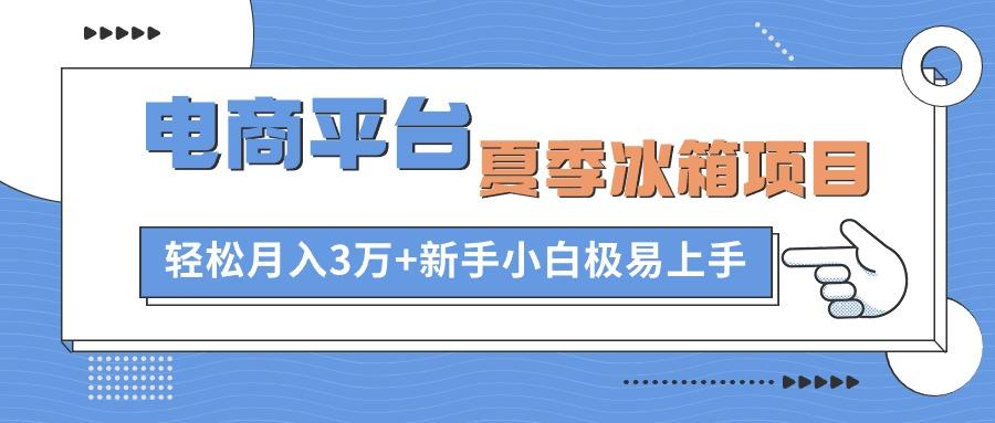 电商平台夏季冰箱项目，轻松月入3万+，新手小白极易上手-大熊网创