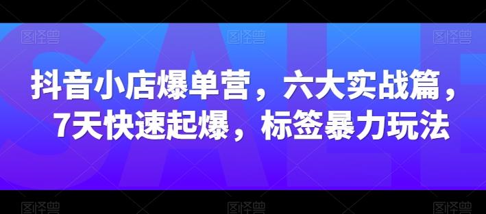 抖音小店爆单营，六大实战篇，7天快速起爆，标签暴力玩法-大熊网创