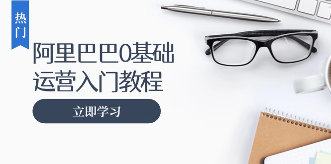 阿里巴巴运营零基础入门教程：涵盖开店、运营、推广，快速成为电商高手-大熊网创