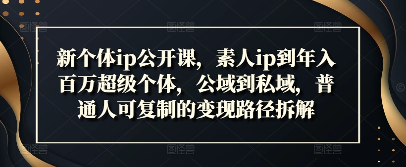 新个体ip公开课，素人ip到年入百万超级个体，公域到私域，普通人可复制的变现路径拆解-大熊网创