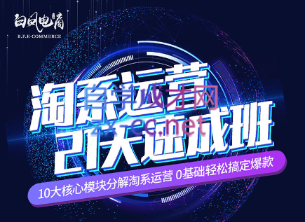 淘系运营21天速成班(更新7月)-网创星球