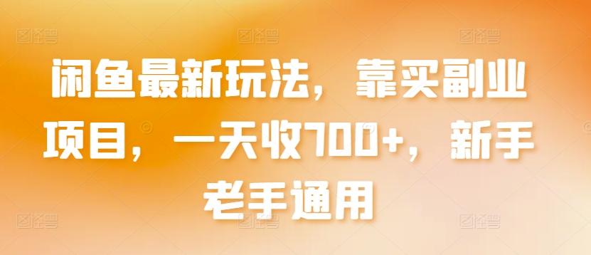 闲鱼最新玩法，靠买副业项目，一天收700+，新手老手通用【揭秘】-大熊网创