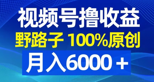 视频号野路子撸收益，100%原创，条条爆款，月入6000＋【揭秘】-大熊网创