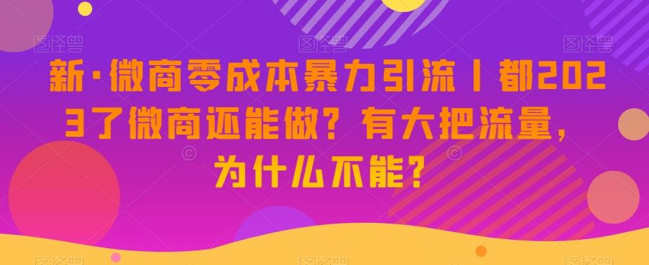新·微商零成本暴力引流丨都2023了微商还能做？有大把流量，为什么不能？-大熊网创