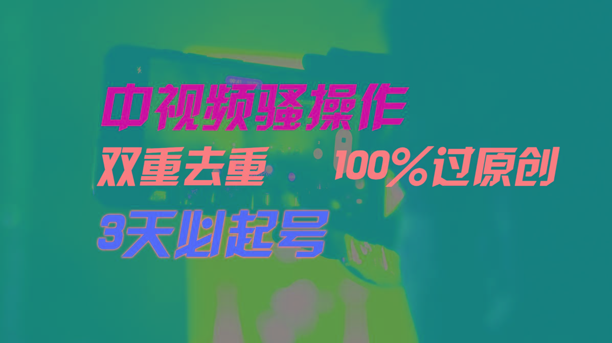 中视频骚操作，双重去重100%过原创，3天比必起号，简单无脑，月入3W+-大熊网创