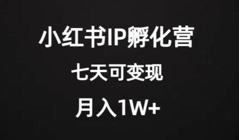 价值2000+的小红书IP孵化营项目，超级大蓝海，七天即可开始变现，稳定月入1W+-大熊网创