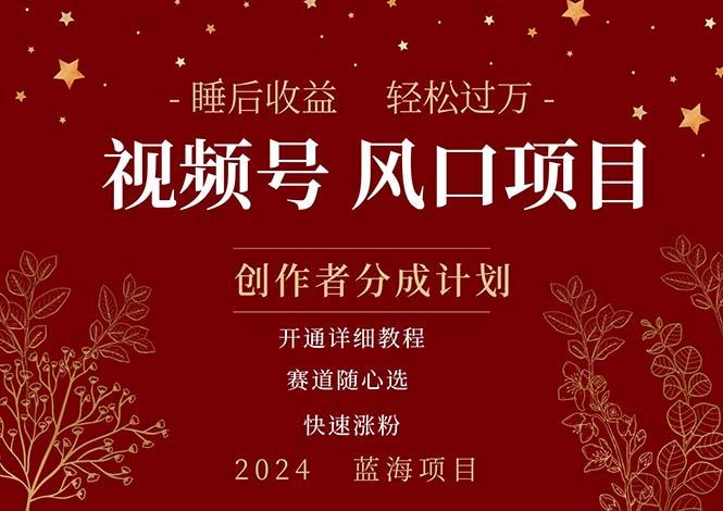 拥有睡眠收益的微信视频号大风口项目，轻松月入过万+，多赛道选择，可…-大熊网创