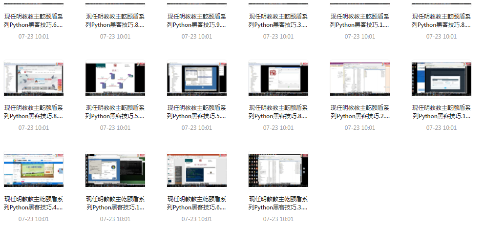 Python黑客技巧课程-大熊网创