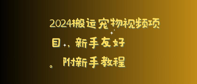 2024搬运宠物视频项目，新手友好，完美去重，附新手教程【揭秘】-大熊网创