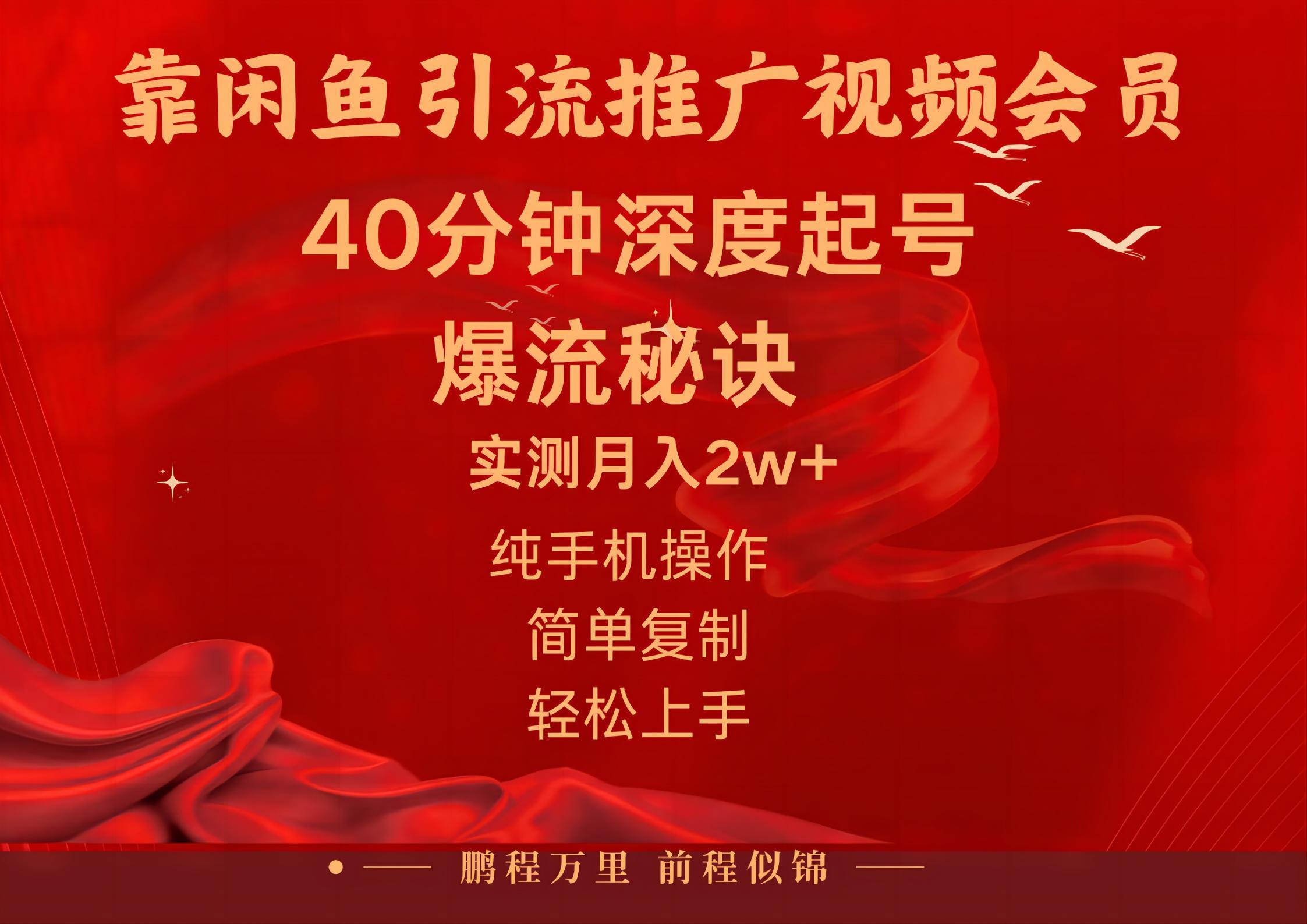 闲鱼暴力引流推广视频会员，能做到日入2W+，操作简单-大熊网创