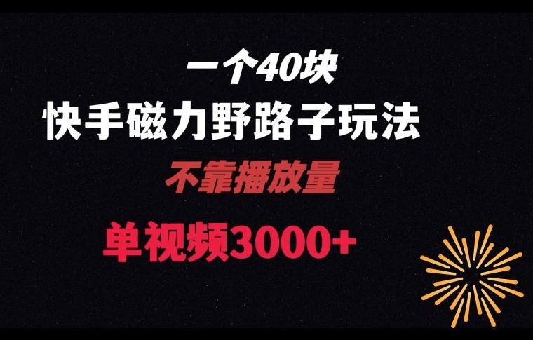 一个40块，快手联合美团磁力新玩法，无视机制野路子玩法，单视频收益4位数【揭秘】-大熊网创