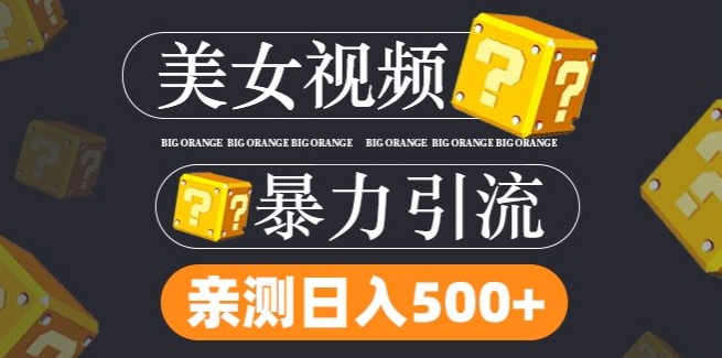 搬运tk美女视频全网分发，日引s粉300+，轻松变现，不限流量不封号【揭秘】-大熊网创
