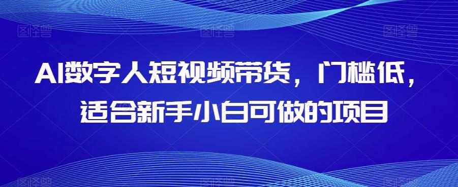 AI数字人短视频带货，门槛低，适合新手小白可做的项目-大熊网创