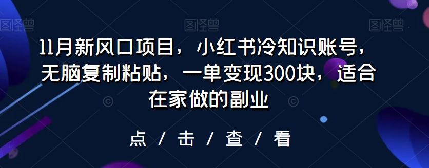 11月新风口项目，小红书冷知识账号，无脑复制粘贴，一单变现300块，适合在家做的副业-大熊网创