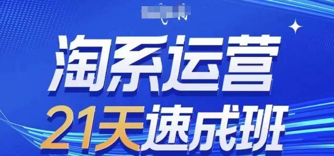 淘系运营21天速成班(更新24年7月)，0基础轻松搞定淘系运营，不做假把式-大熊网创