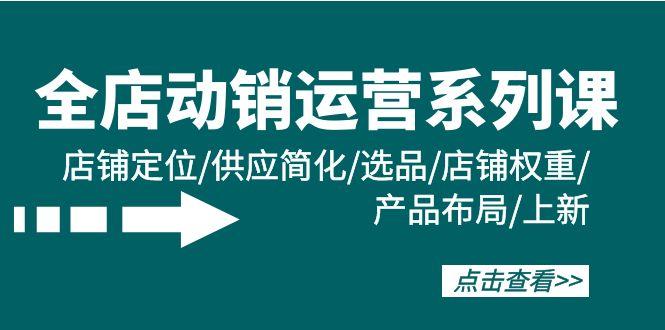 (9845期)全店·动销运营系列课：店铺定位/供应简化/选品/店铺权重/产品布局/上新-大熊网创