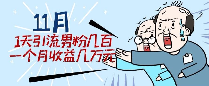 11月最新每天引流男粉300+一个月收益几万元-大熊网创