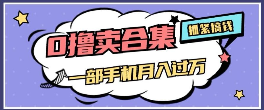 0撸项目月入过万，售卖全套ai工具合集，一单29.9元，一部手机即可【揭秘】-大熊网创