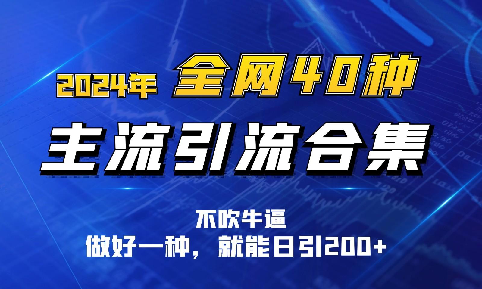 2024年全网40种暴力引流合计，做好一样就能日引100+-大熊网创