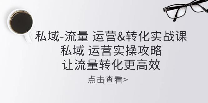 私域-流量 运营&转化实操课：私域 运营实操攻略 让流量转化更高效-大熊网创