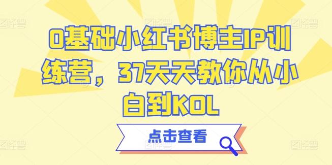 0基础小红书博主IP训练营，37天天教你从小白到KOL-大熊网创
