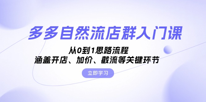 多多自然流店群入门课，从0到1思路流程，涵盖开店、加价、截流等关键环节-大熊网创