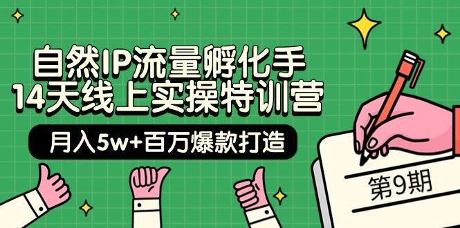 (9881期)自然IP流量孵化手 14天线上实操特训营【第9期】月入5w+百万爆款打造 (74节)-网创星球