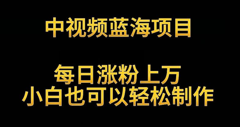 中视频蓝海项目，解读英雄人物生平，每日涨粉上万，小白也可以轻松制作，月入过万不是梦【揭秘】-大熊网创