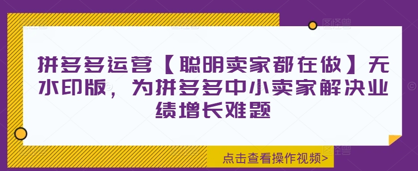 拼多多运营【聪明卖家都在做】无水印版，为拼多多中小卖家解决业绩增长难题-大熊网创