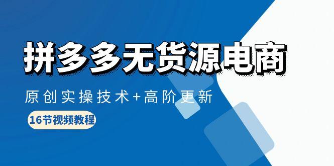 (10015期)拼多多无货源电商，原创实操技术+高阶更新(16节视频教程)-大熊网创