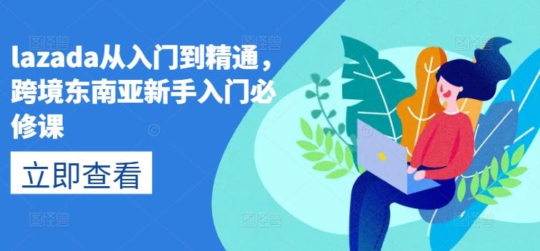 lazada从入门到精通，跨境东南亚新手入门必修课-大熊网创