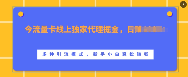 流量卡线上独家代理掘金，日入1k+ ，多种引流模式，新手小白轻松上手【揭秘】-大熊网创
