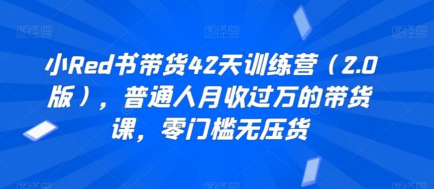 小Red书带货42天训练营(2.0版)，普通人月收过万的带货课，零门槛无压货-大熊网创
