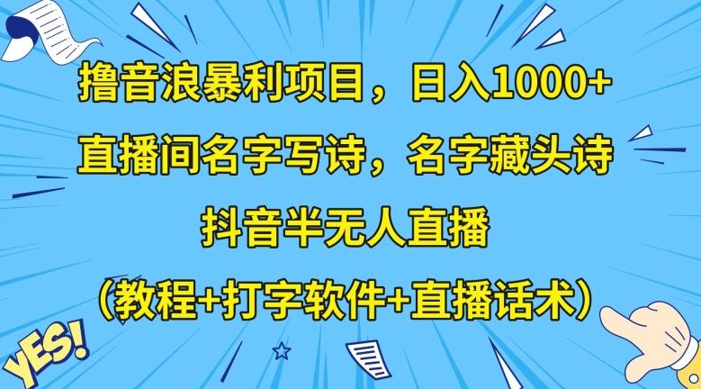 撸音浪暴利项目，日入1000+，直播间名字写诗，名字藏头诗，抖音半无人直播（教程+打字软件+直播话术）【揭秘】-大熊网创