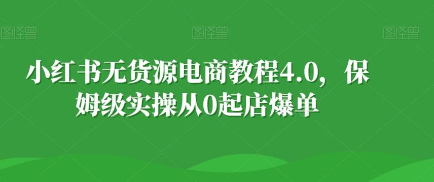 小红书无货源电商教程4.0，保姆级实操从0起店爆单【拆解】-大熊网创