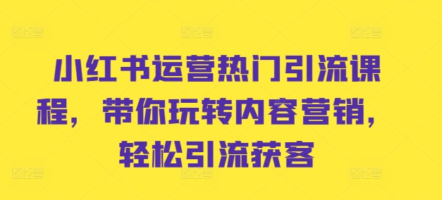 小红书运营热门引流课程，带你玩转内容营销，轻松引流获客-大熊网创