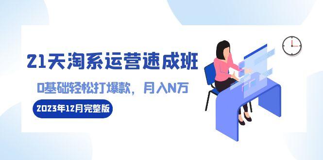 21天淘系运营-速成班2023年12月完整版：0基础轻松打爆款，月入N万-110节课-大熊网创