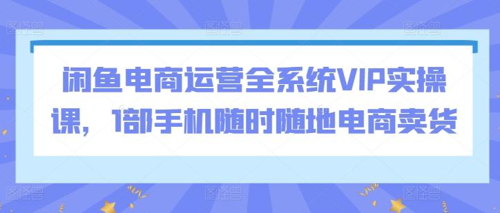闲鱼电商运营全系统VIP实操课，1部手机随时随地电商卖货-网创星球
