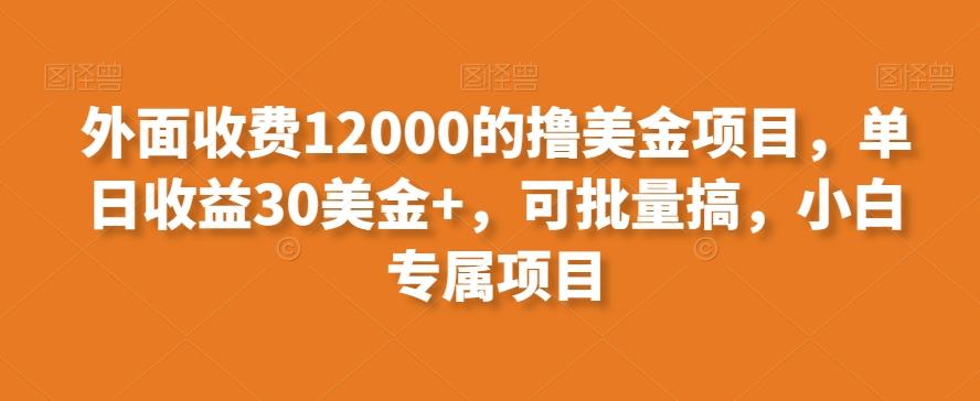 外面收费12000的撸美金项目，单日收益30美金+，可批量搞，小白专属项目-大熊网创
