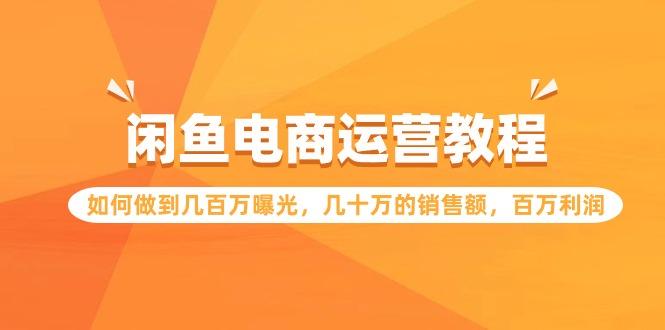 (9560期)闲鱼电商运营教程：如何做到几百万曝光，几十万的销售额，百万利润-大熊网创