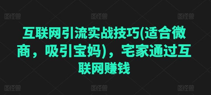 互联网引流实战技巧(适合微商，吸引宝妈)，宅家通过互联网赚钱-大熊网创