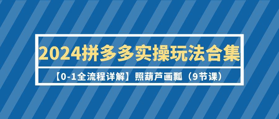 (9559期)2024拼多多实操玩法合集【0-1全流程详解】照葫芦画瓢(9节课)-网创星球