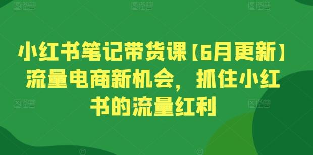 小红书笔记带货课【6月更新】流量电商新机会，抓住小红书的流量红利-大熊网创