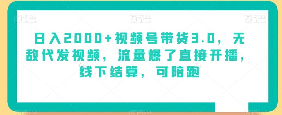 日入2000+视频号带货3.0，无敌代发视频，流量爆了直接开播，线下结算，可陪跑-大熊网创