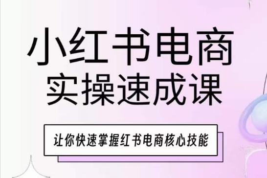 小红书电商实操速成课，让你快速掌握红书电商核心技能-大熊网创