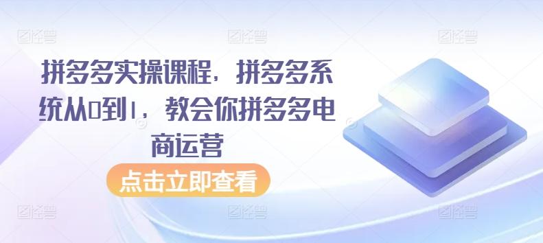 拼多多实操课程，拼多多系统从0到1，教会你拼多多电商运营-网创星球