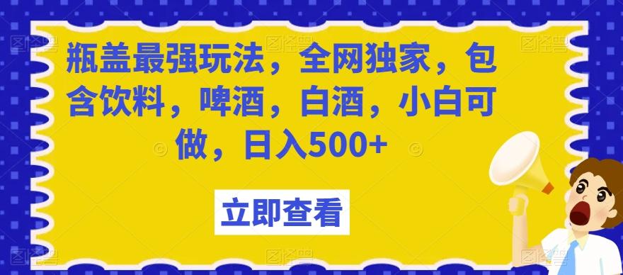 瓶盖最强玩法，全网独家，包含饮料，啤酒，白酒，小白可做，日入500+【揭秘】-大熊网创