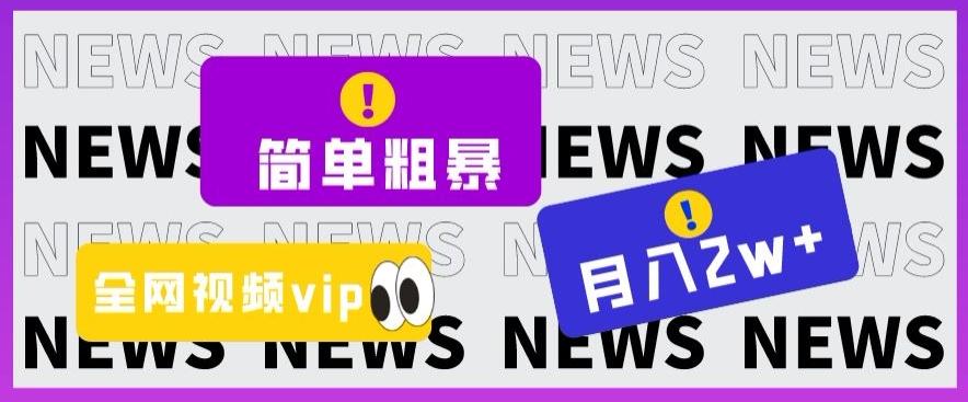 简单粗暴零成本，高回报，全网视频VIP掘金项目，月入2万＋【揭秘】-大熊网创