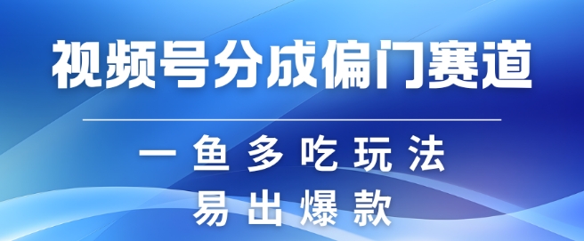 视频号创作者分成计划偏门类目，容易爆流，实拍内容简单易做【揭秘】-大熊网创