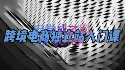 团长·跨境电商独立站入门课(2小时精华)-网创星球